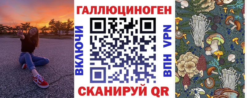 Псилоцибиновые грибы Psilocybe Купить закладки Грозный